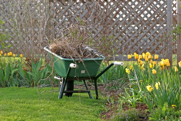 Flower Bed Cleanup Service in Seminole