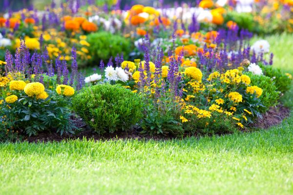 Flower Bed Maintenance in Seminole