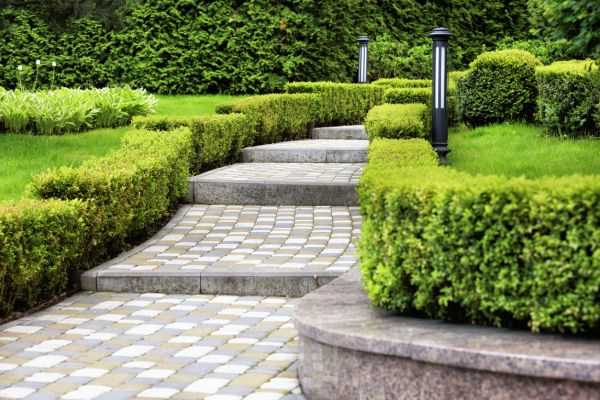 Backyard Remodeling in Seminole