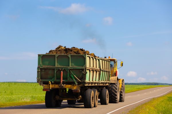 Bulk Soil Delivery in Seminole