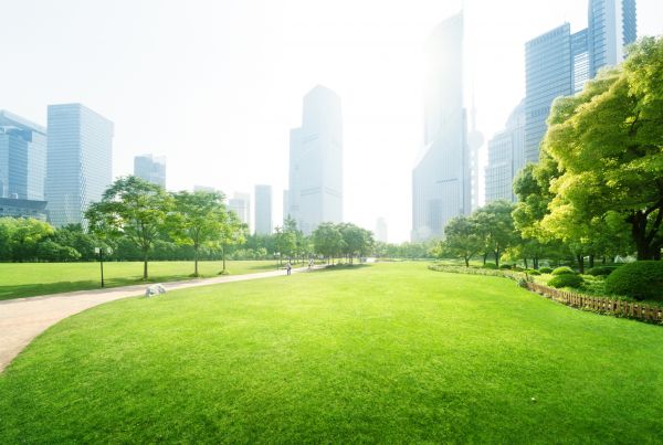 Commercial Landscape Maintenance in Seminole