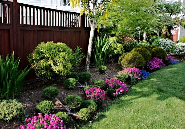 Garden Care Service in Seminole