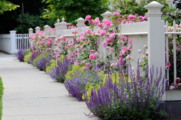 Garden Handyman Service in Seminole