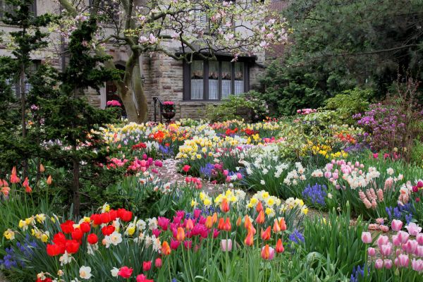 Garden Maintenance Service in Seminole