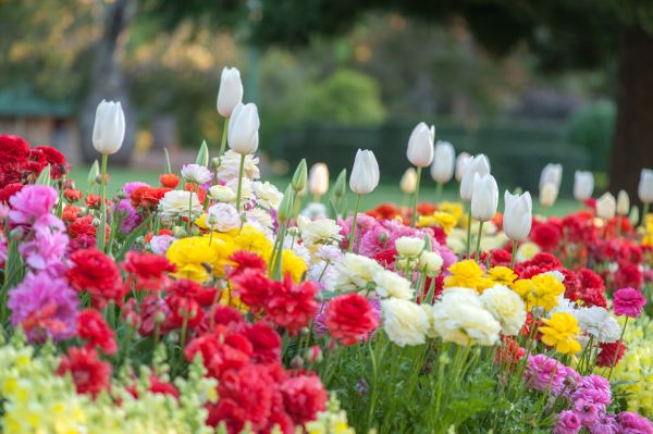 Gardening Service in Seminole