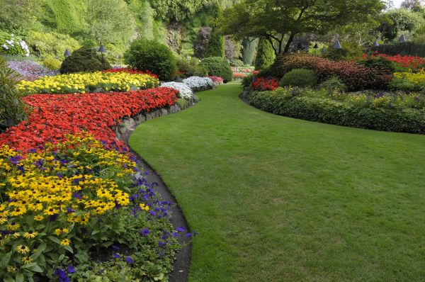 Landscaping Maintenance in Seminole