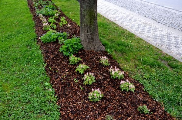 Mulch Replacement Service in Seminole