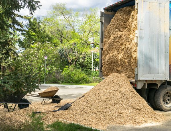 Wood Chips Delivery in Seminole