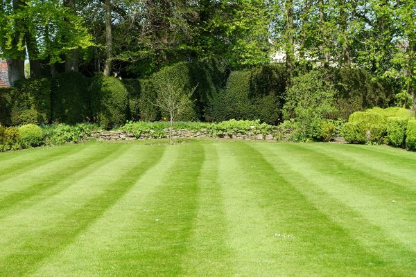 Lawn Renovation in Seminole