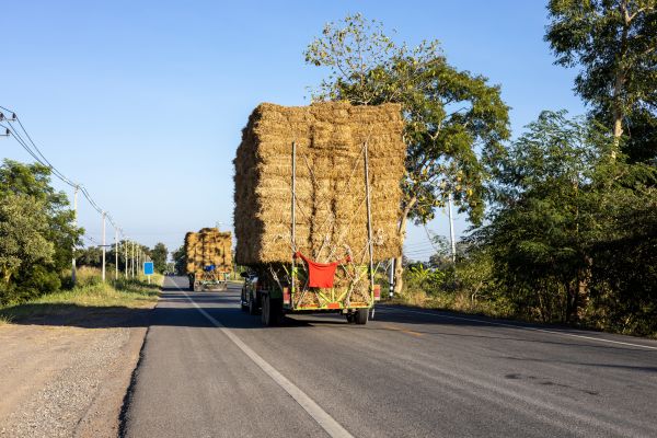 Pine Straw Delivery in Seminole