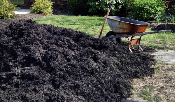 Black Mulch Delivery in Seminole