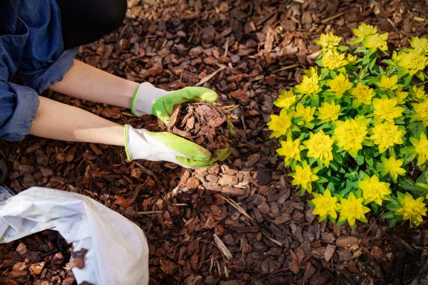 Garden Mulching in Seminole