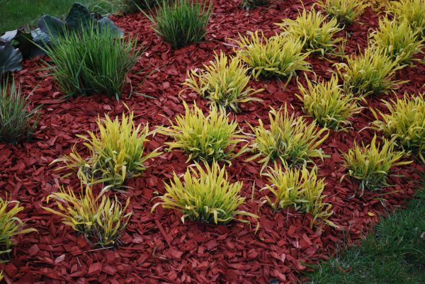 Mulch Landscaping in Seminole