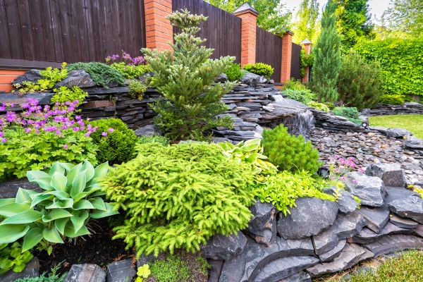 Landscape Remodeling in Seminole