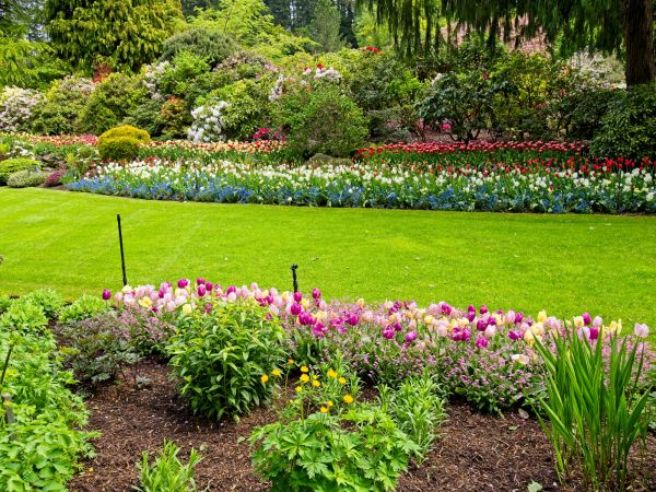Residential Landscape Design in Seminole