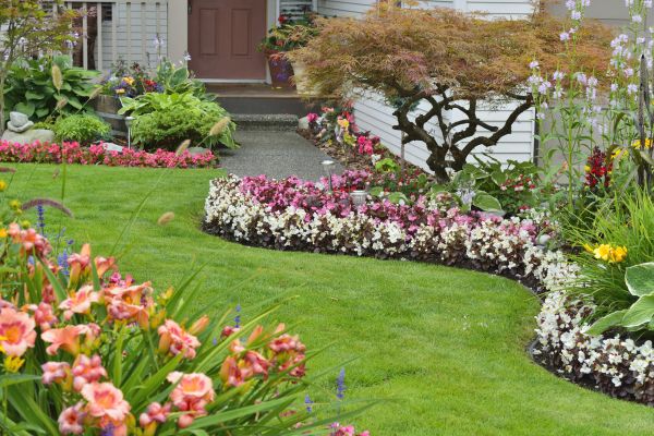 Perennial Landscaping in Seminole