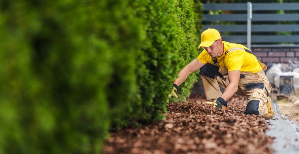 Cypress Mulch Installation in Seminole