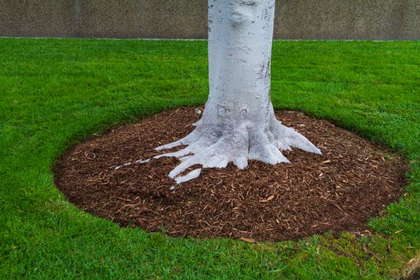 Brown Mulch Installation in Seminole