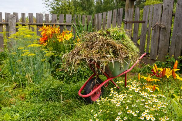 Garden Cleanup Service in Seminole