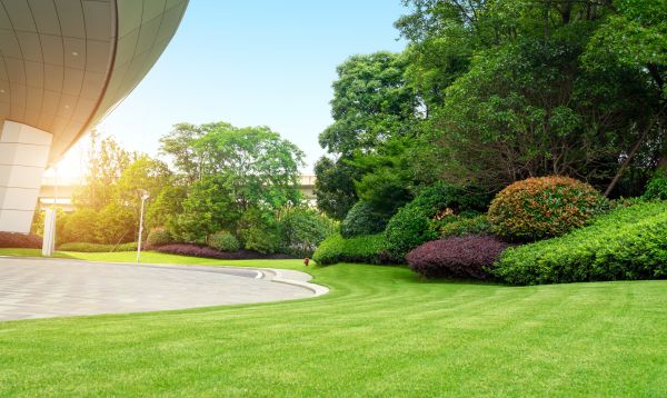 Business Landscape Design in Seminole