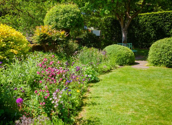 Yard Landscaping Service in Seminole