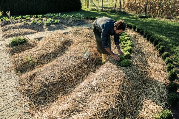 Straw Mulching Service in Seminole