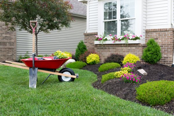 Tree And Shrub Planting in Seminole