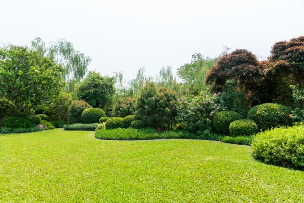 Tree Landscaping in Seminole