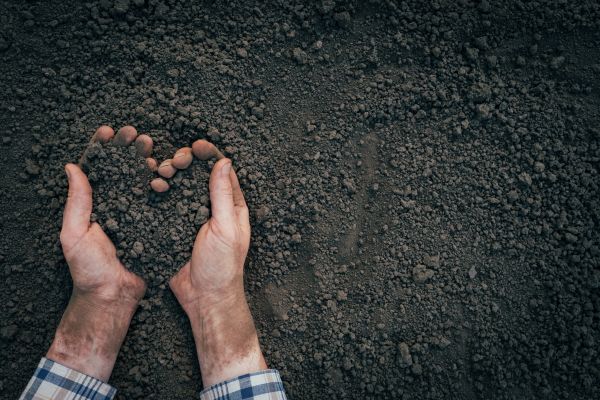 Soil Installation in Seminole