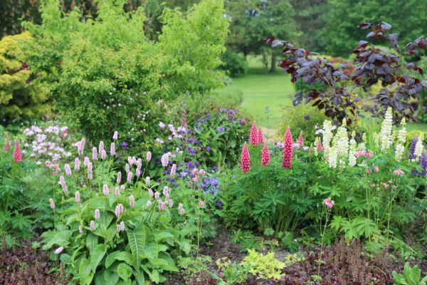 Flower Bed Planting in Seminole