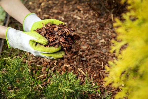 Garden Mulch Delivery in Seminole