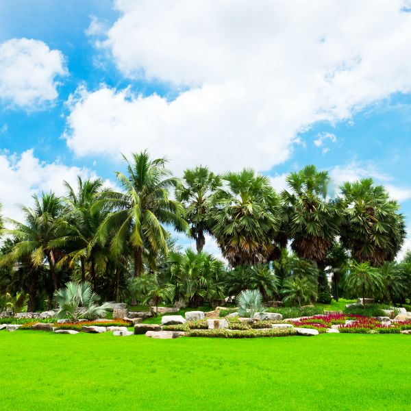 Tropical Landscaping in Seminole