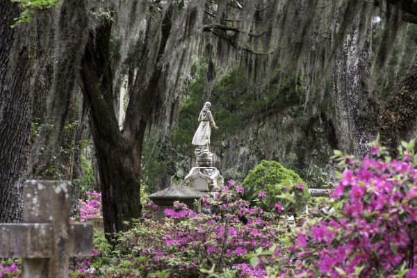 Cemetery Landscaping in Seminole