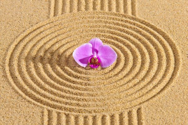 Sand Garden Landscaping in Seminole