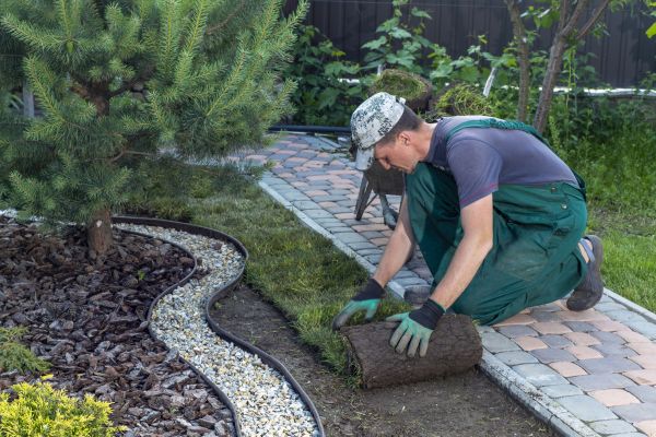 Landscaping Modification in Seminole
