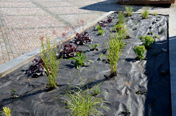 Landscape Fabric Installation in Seminole