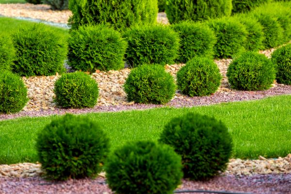 Bush Installation in Seminole