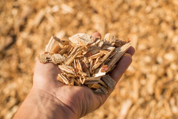 Wood Chips Spreading in Seminole