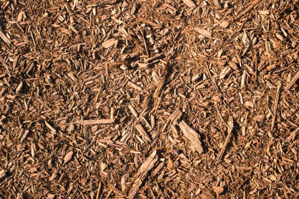 Wood Chips Removal in Seminole