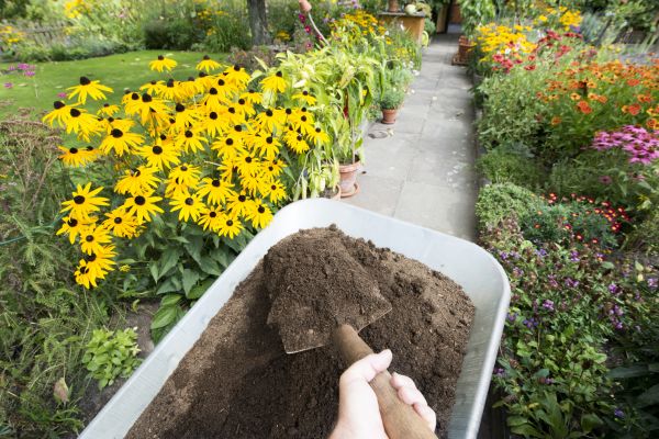 Topsoil Replacement in Seminole