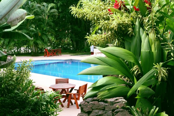 Pool Area Landscaping in Seminole
