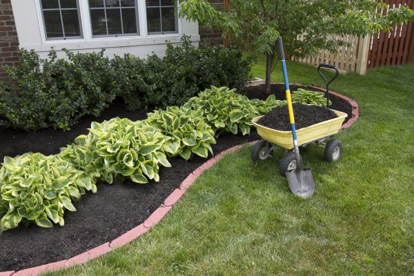 Landscape Mulching in Seminole