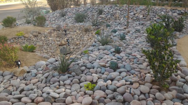 Yard Xeriscaping in Seminole