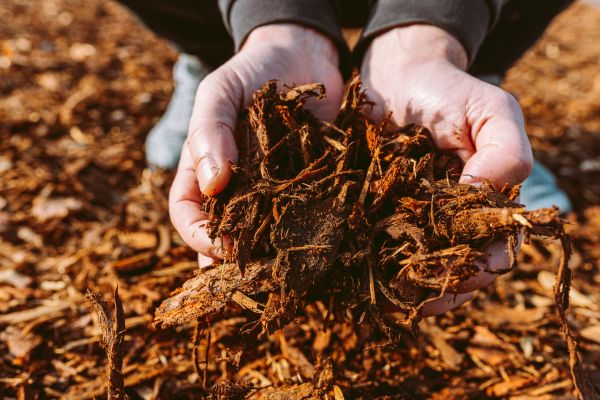 Bark Chips Delivery in Seminole