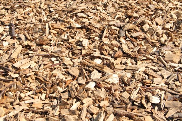 Wood Mulch Delivery in Seminole