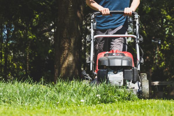 Garden Trimming Service in Seminole