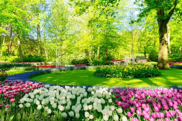 Flower Landscaping in Seminole
