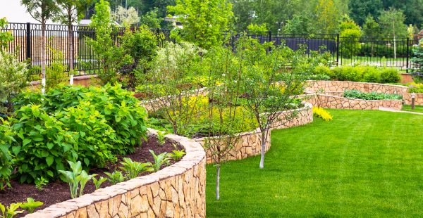 Yard Makeover Service in Seminole
