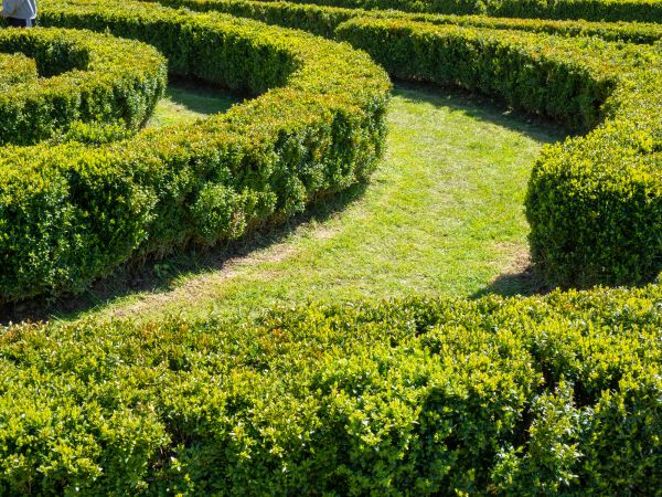 Bush Landscaping in Seminole
