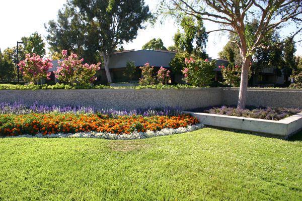 Commercial Landscape Service in Seminole